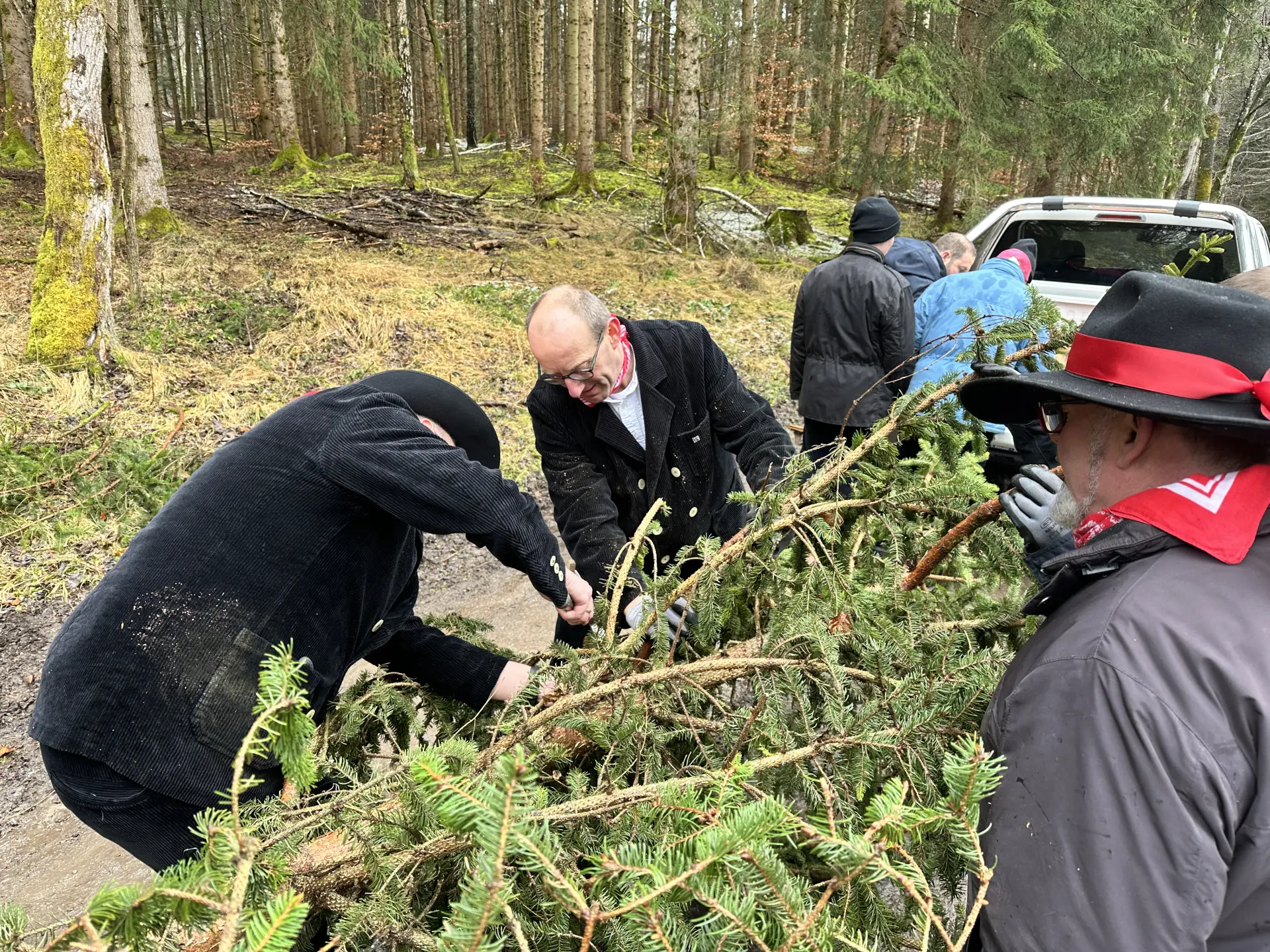 Die gebrochenen Äste werden ausgeflickt