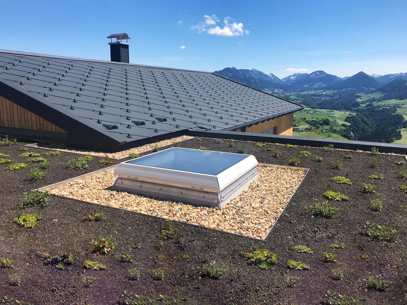 null